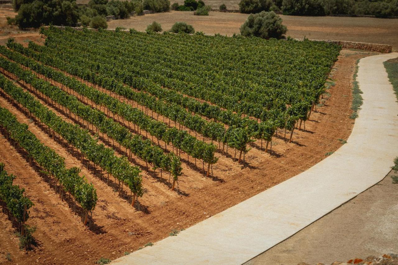 Finca Gomera By Itinerem - Adults Only Llucmajor (Mallorca) Buitenkant foto
